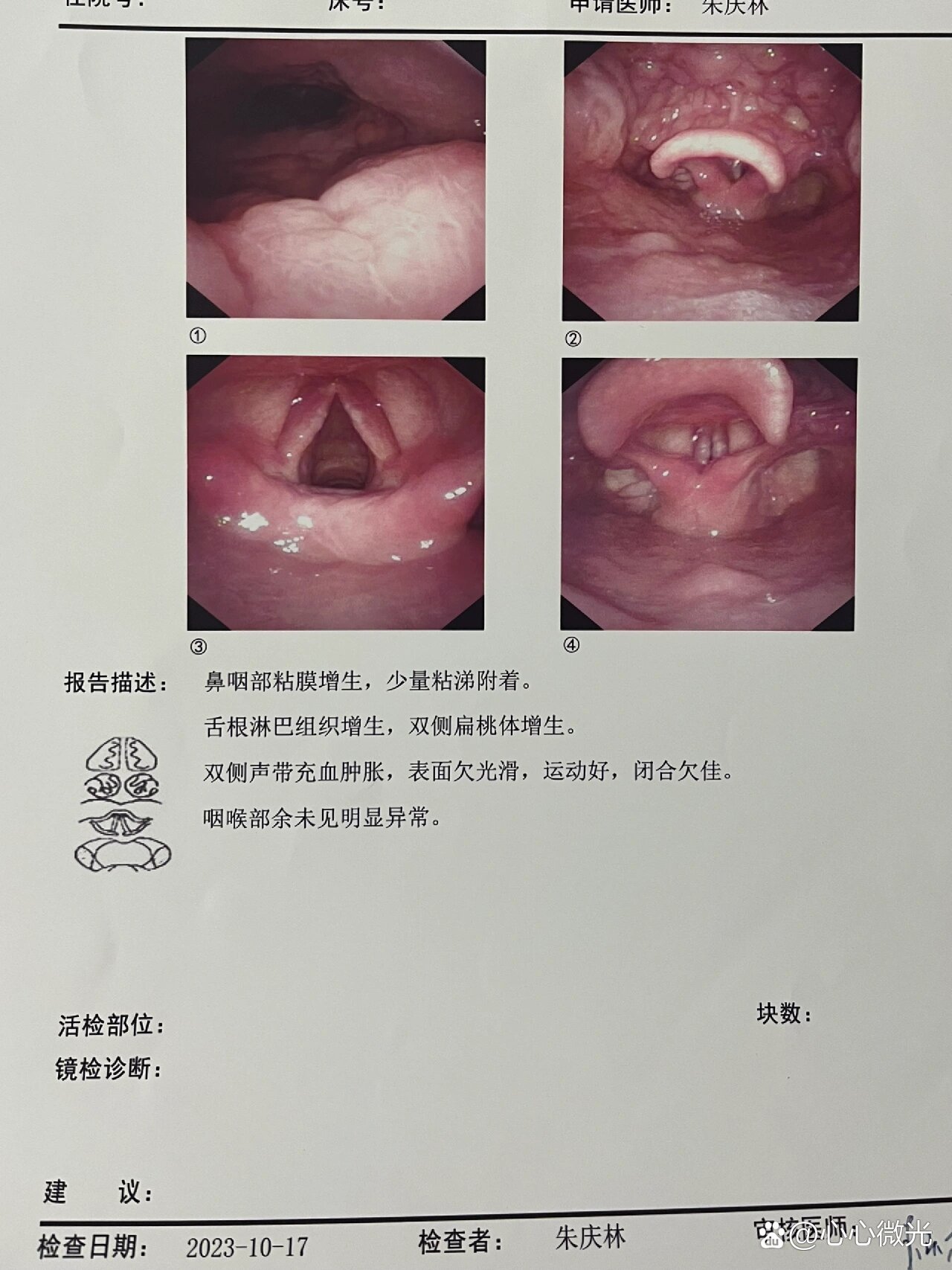 网上挂号耳鼻喉科(网上挂号耳鼻喉科可以吗)