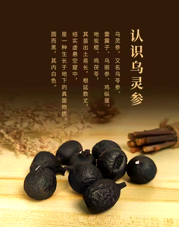 乌灵参：安神止血降血压的神奇药材