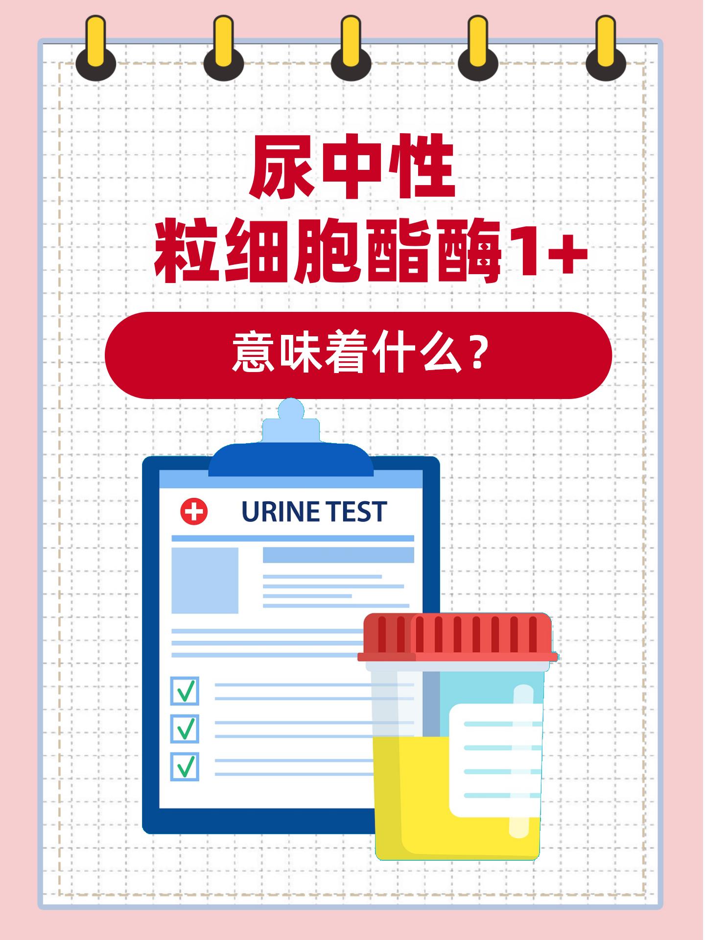 尿中性粒细胞酯酶1+意味着什么?