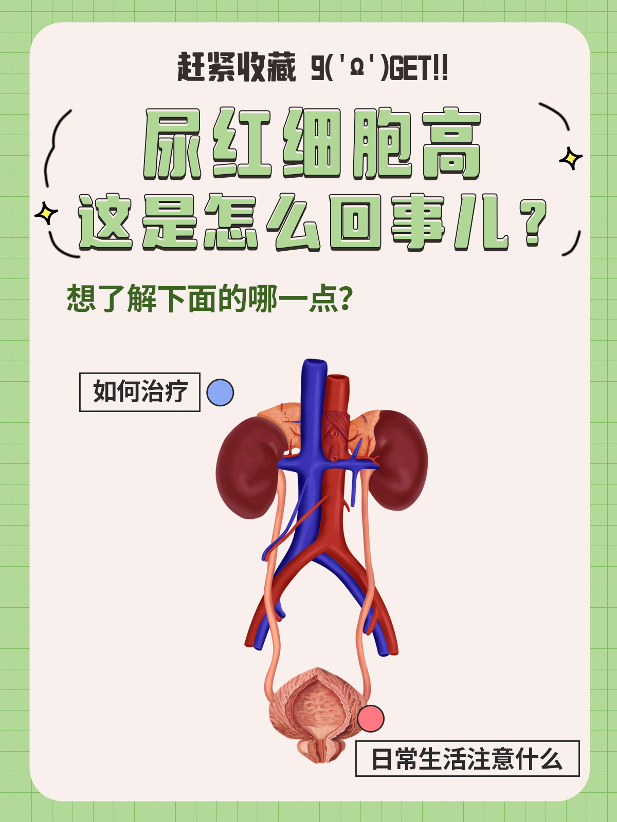 尿红细胞高,这是怎么回事儿?