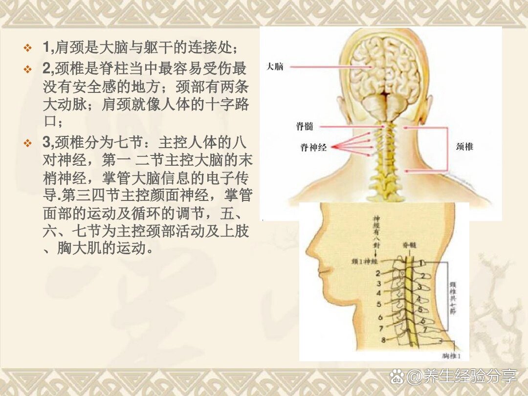 肩颈调理话术