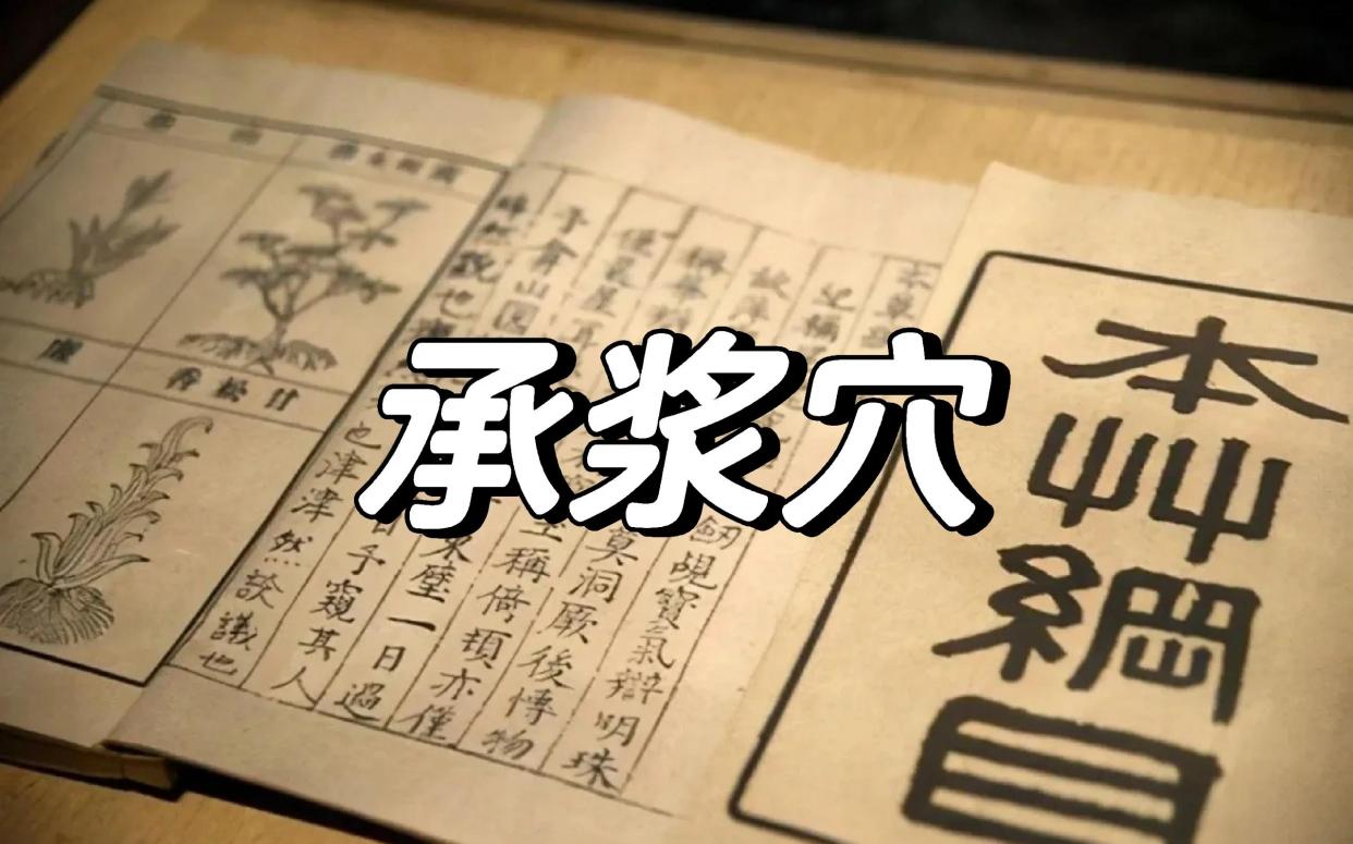承浆穴：任脉上的神奇穴位