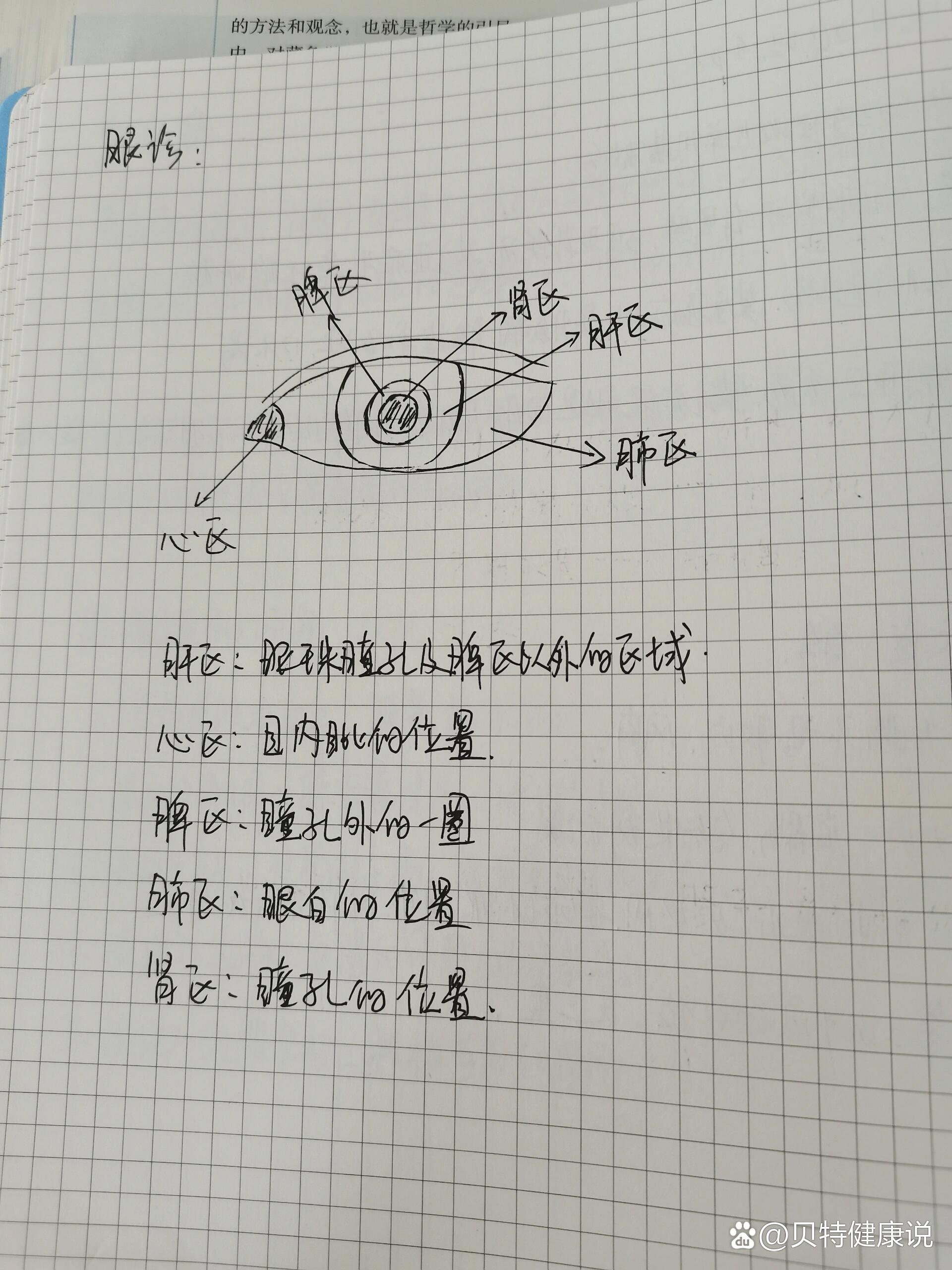 目内眦的准确位置图片图片