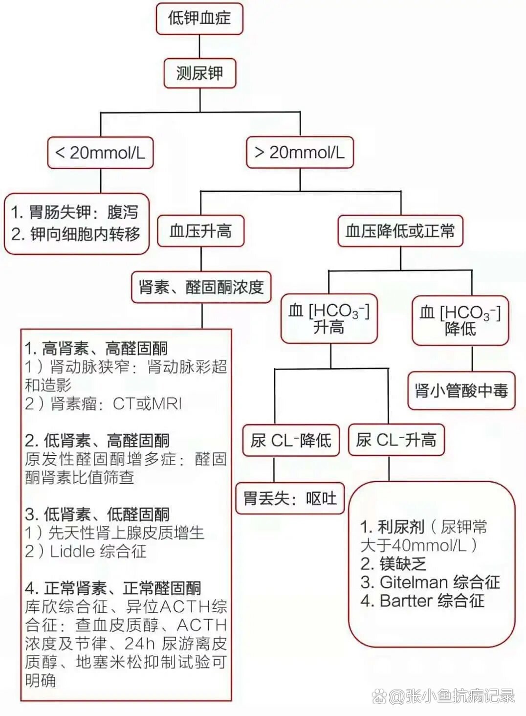 钾低会出现什么症状图片