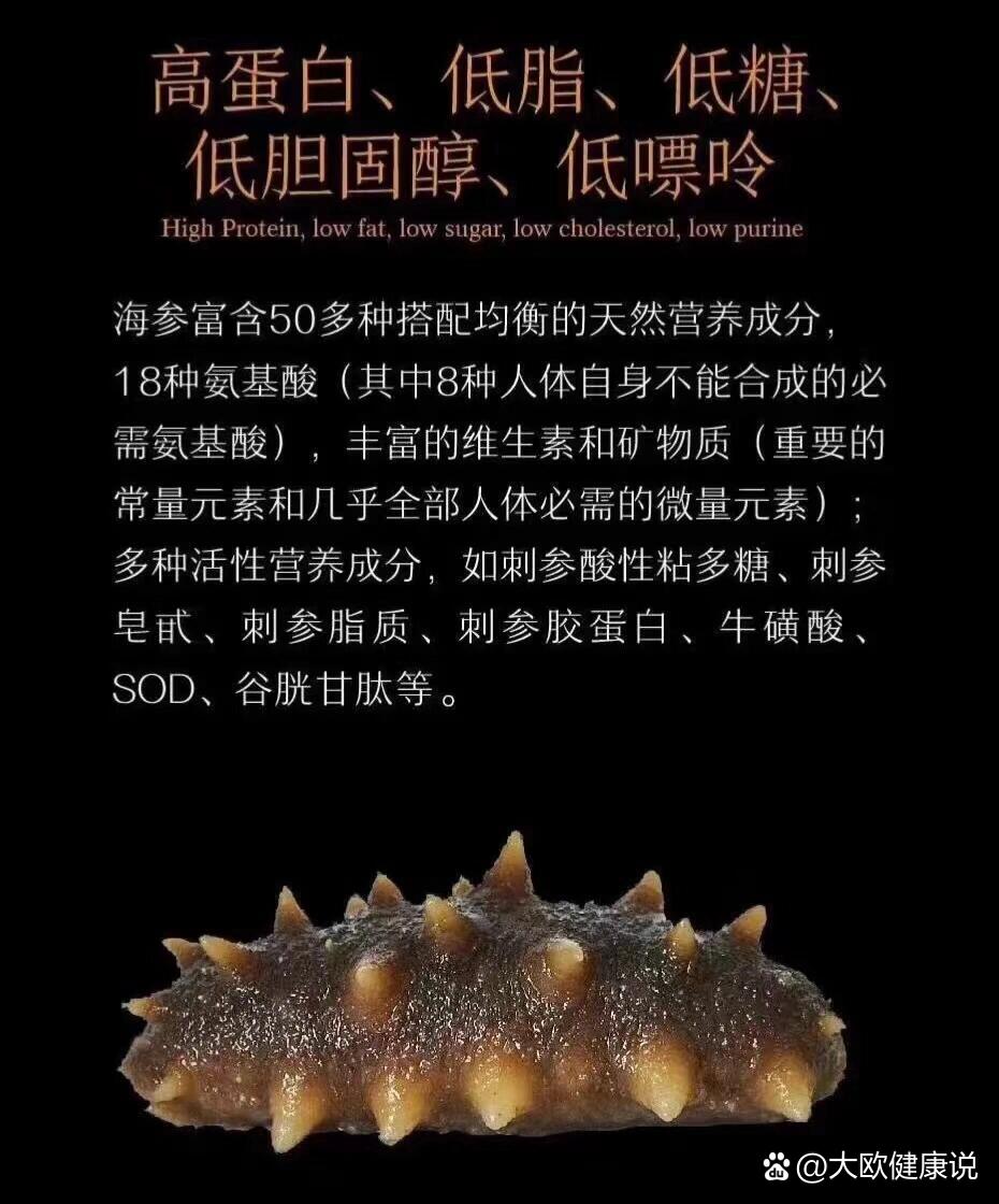 海参的功效与禁忌人群图片