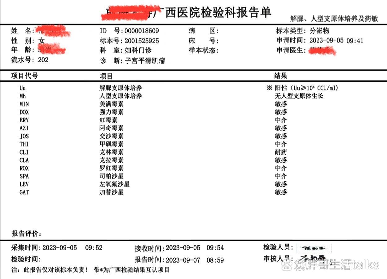 支原体检测报告图片