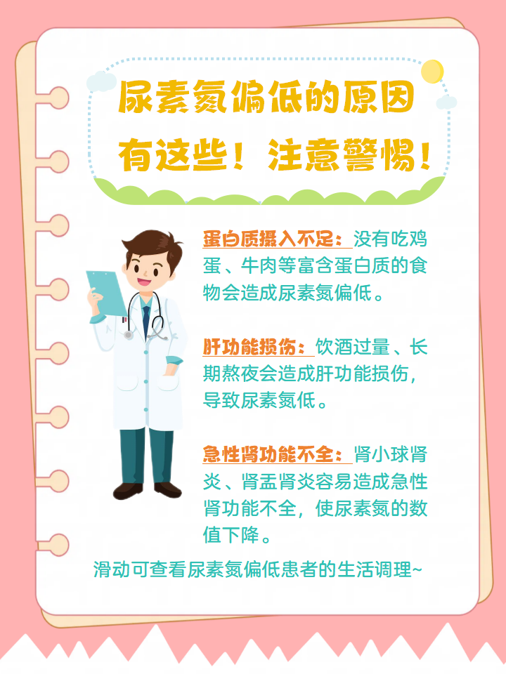 尿素氮偏高是什么原因图片