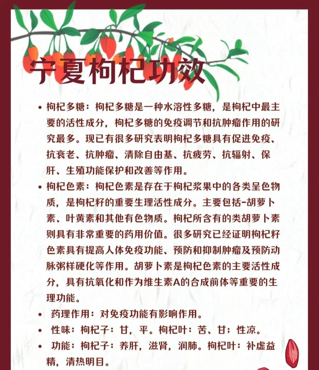 宁夏枸杞的神奇功效与特点🌿