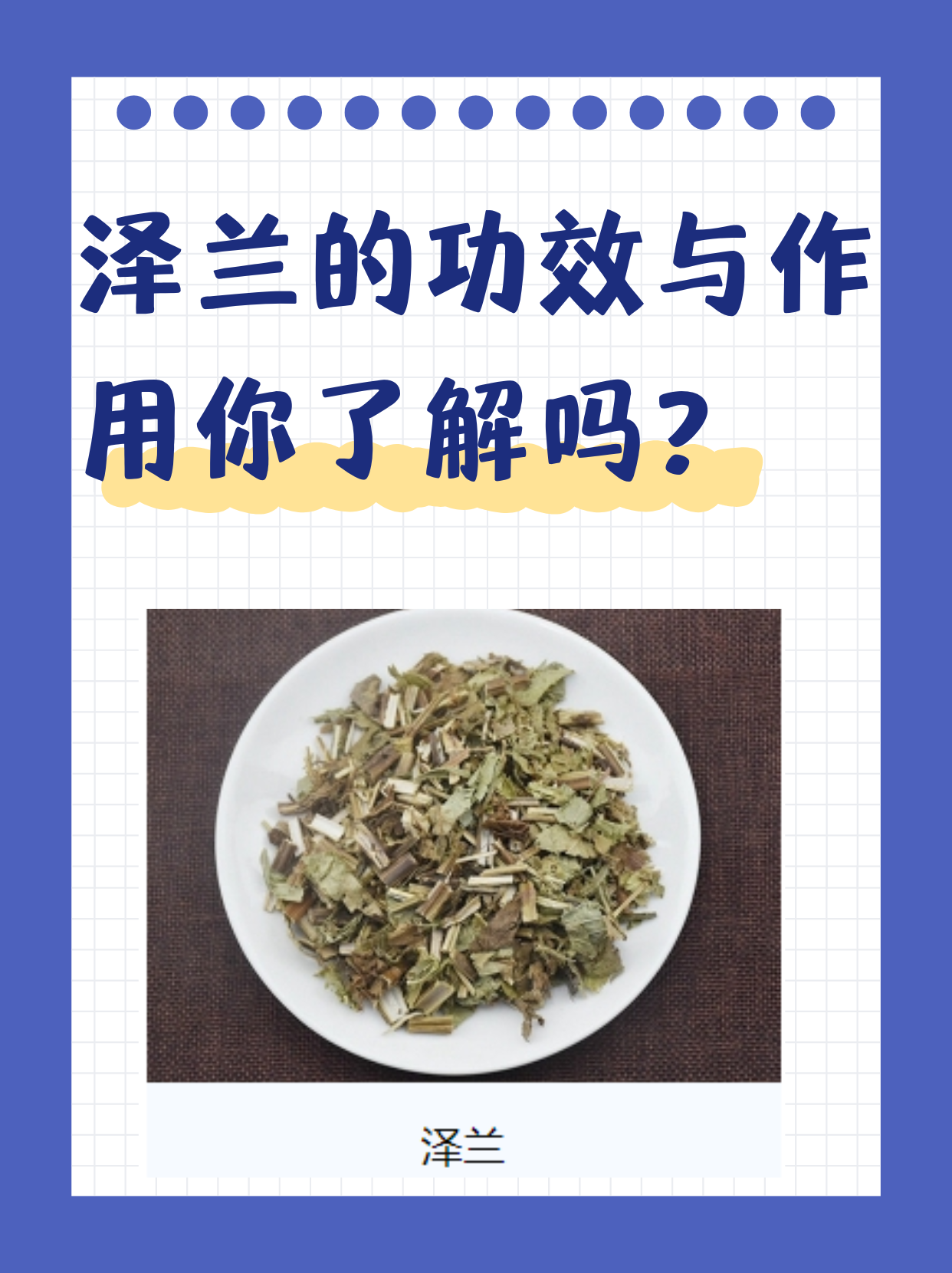 中药泽兰的功效与作用图片