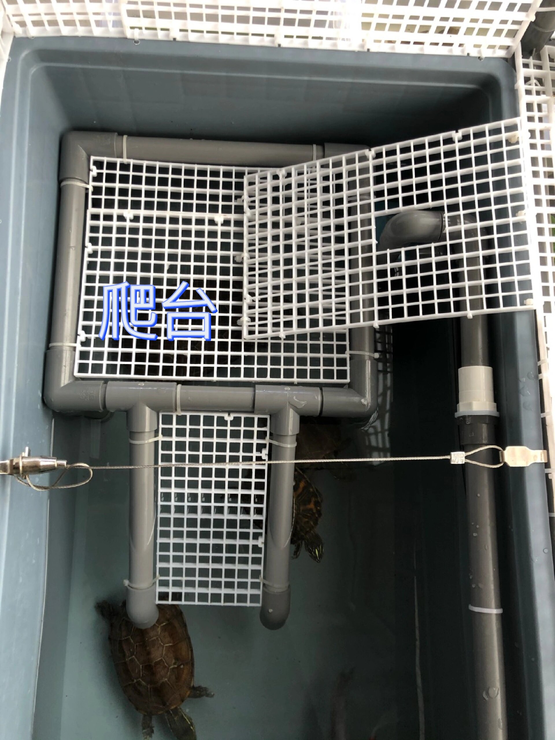 自制周转箱龟缸教程来咯