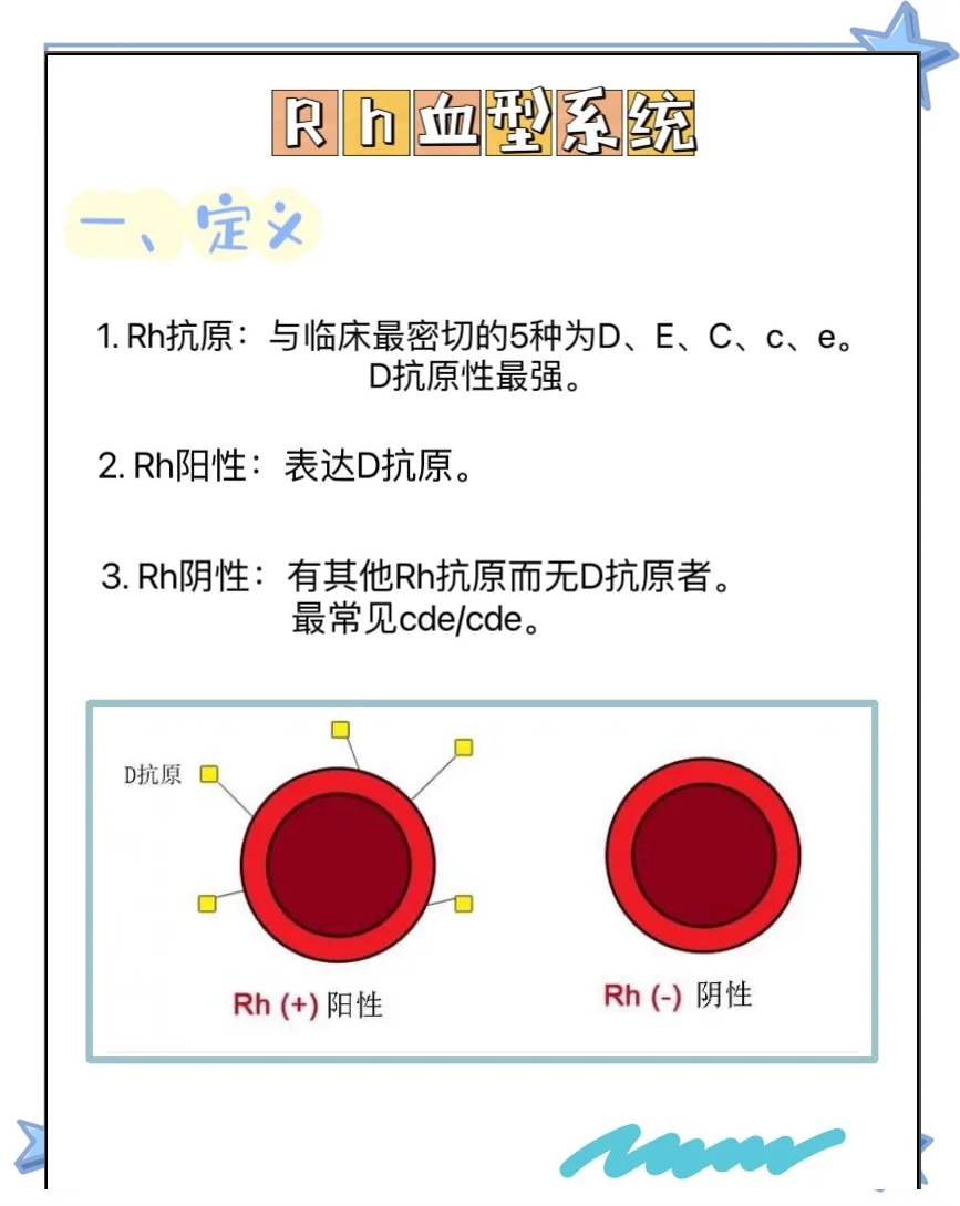 医学检验中级：Rh血型系统的那些事儿