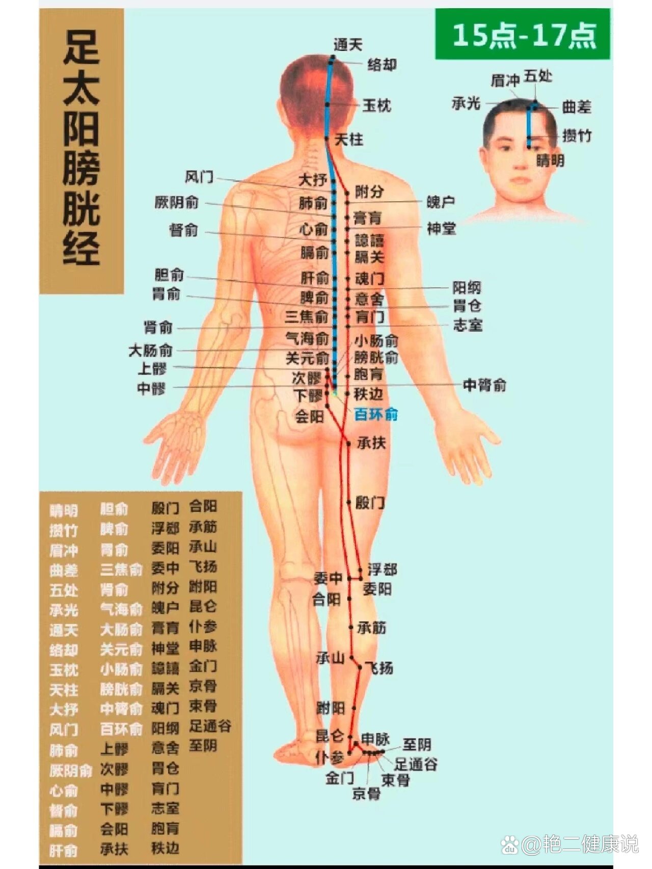 膀胱经是全身很重要的一条排毒通道