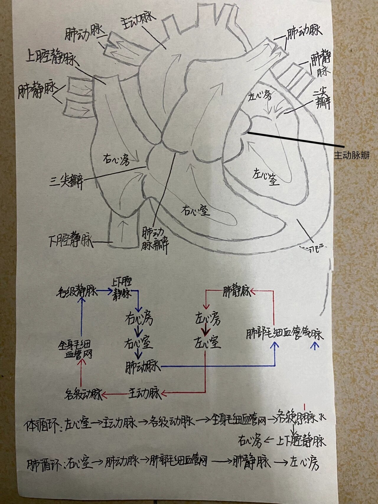 血源推图顺序图片