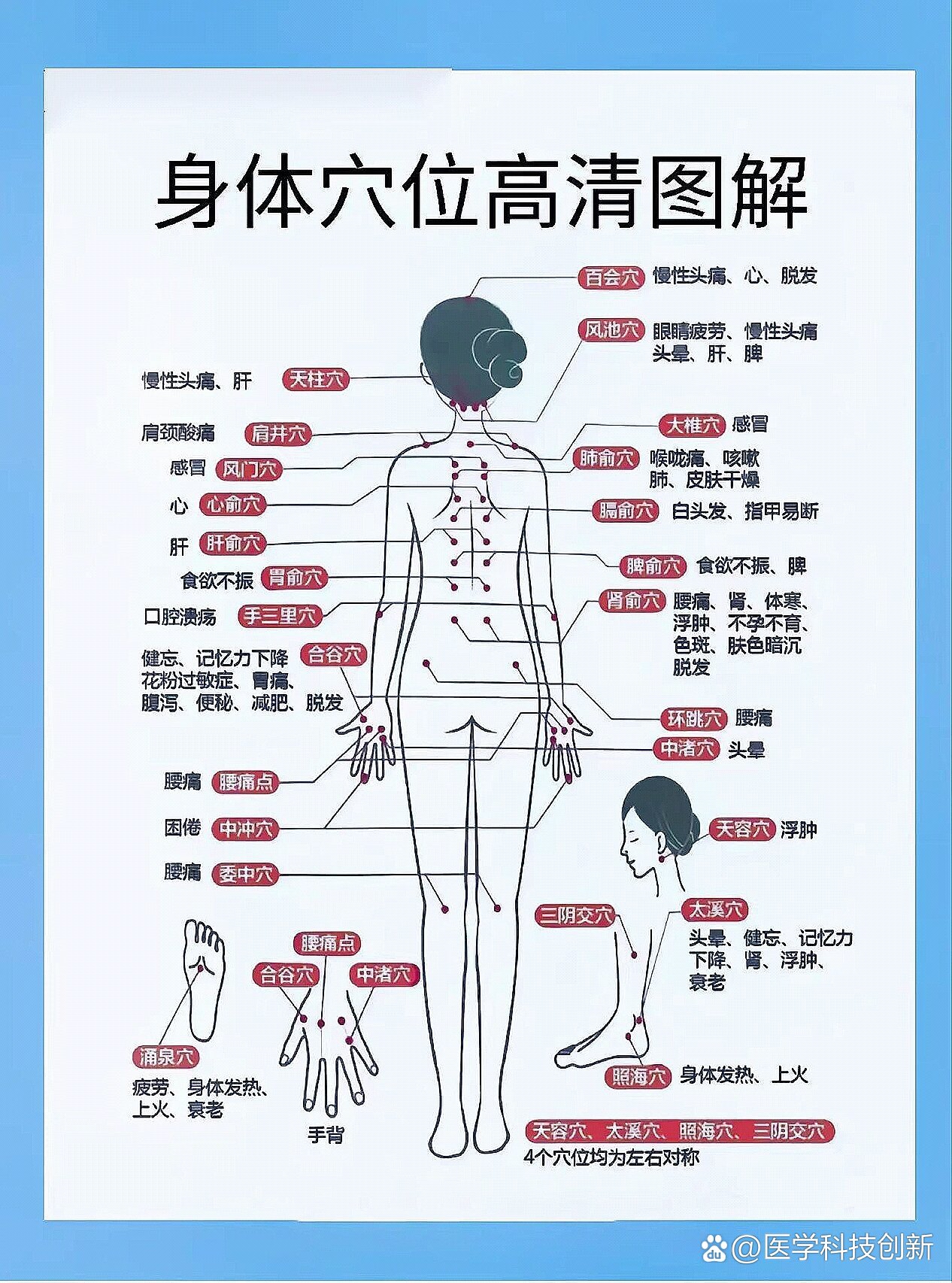 人体位置名称图片