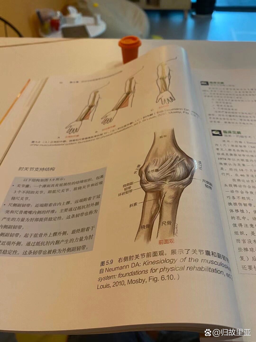 肘外翻怎么看图片