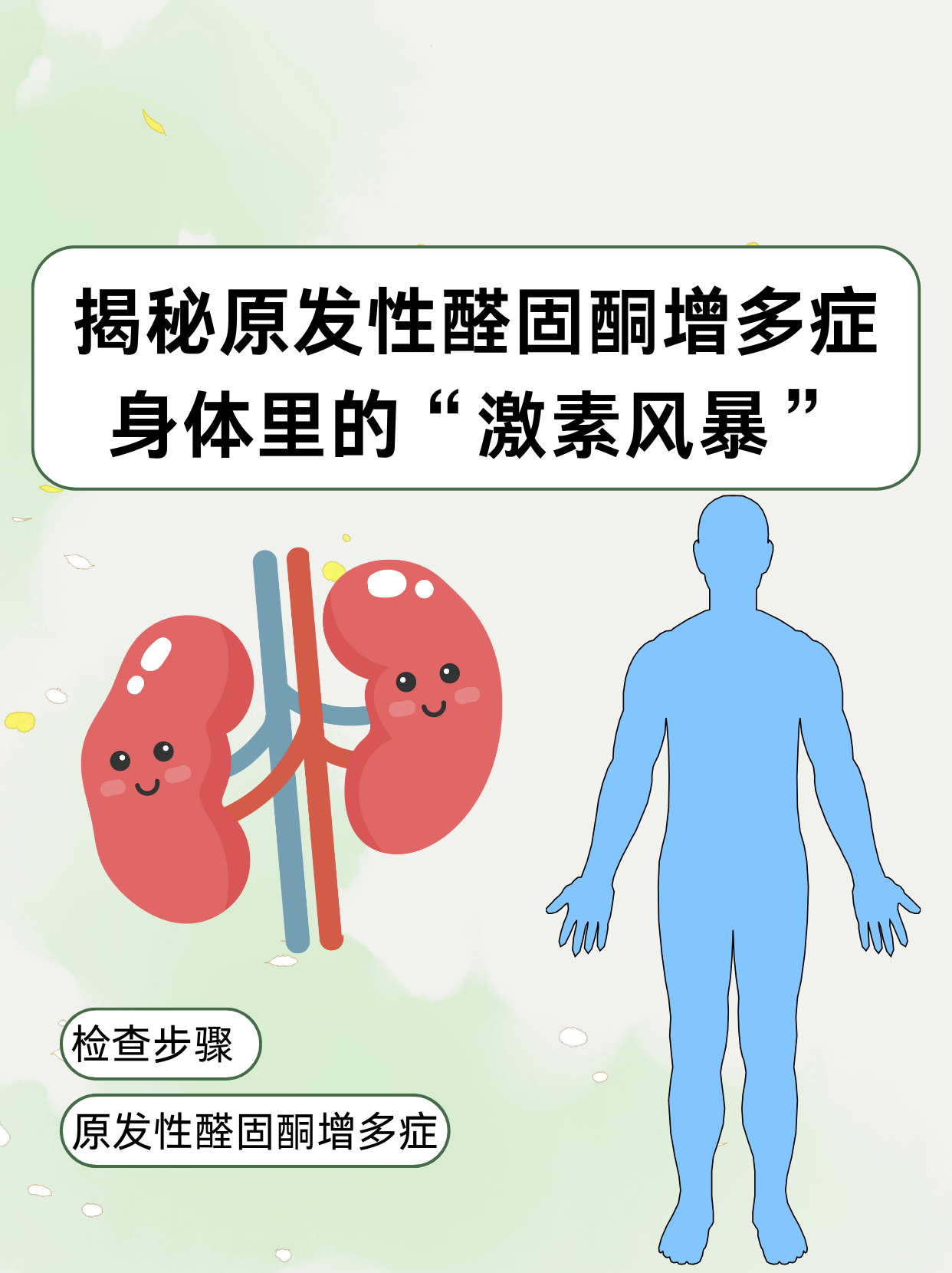 揭秘原发性醛固酮增多症身体里的激素风暴