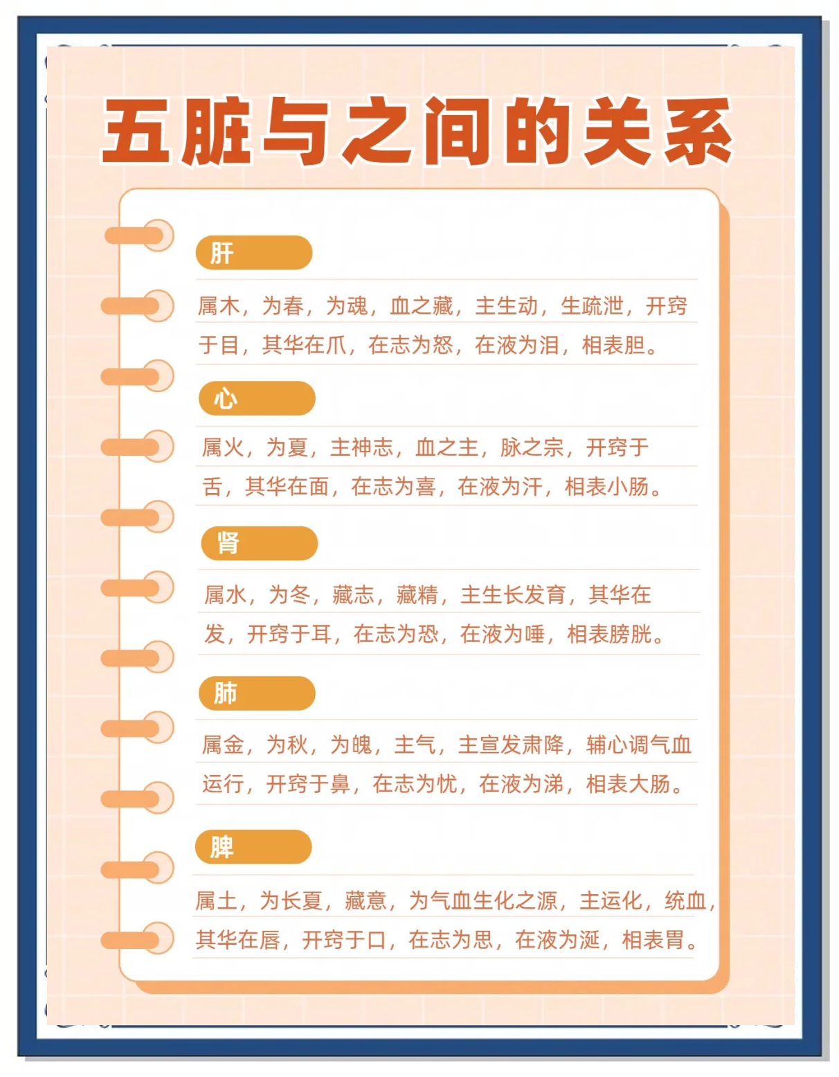 五脏开窍与华在何处？