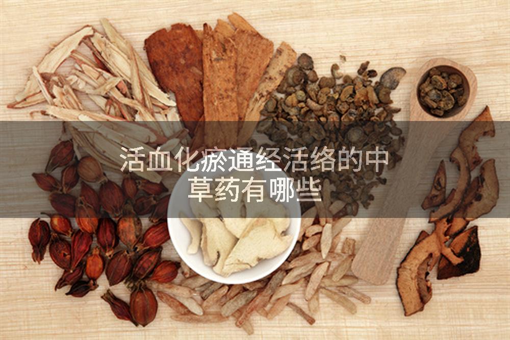 活血化瘀通经活络的中草药有哪些