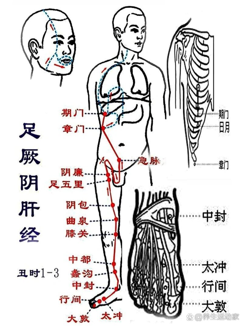 小腿内侧疼痛部位图解图片