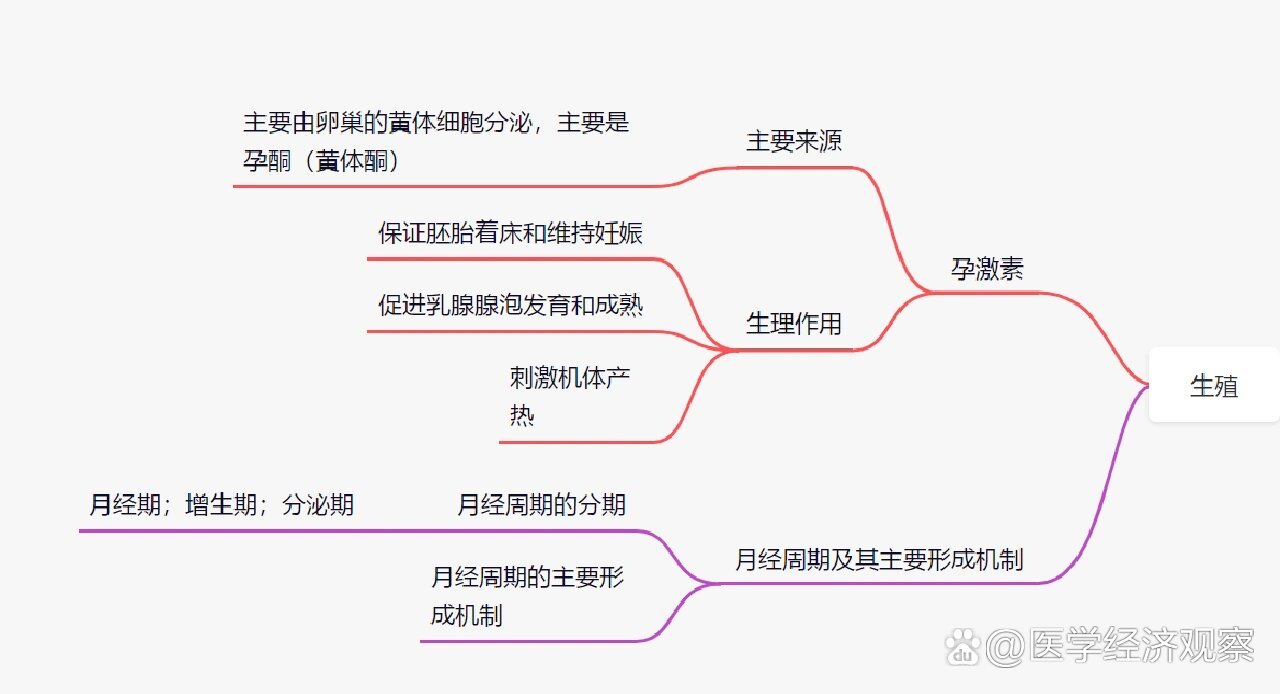 生理学第十二章生殖思维导图