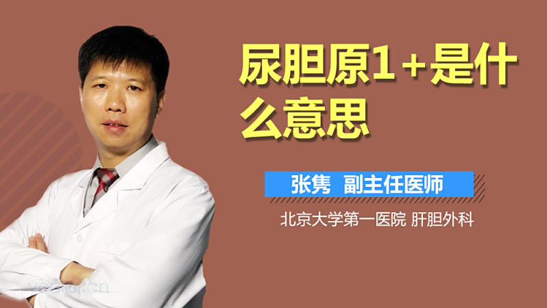 尿胆原1 是什么意思