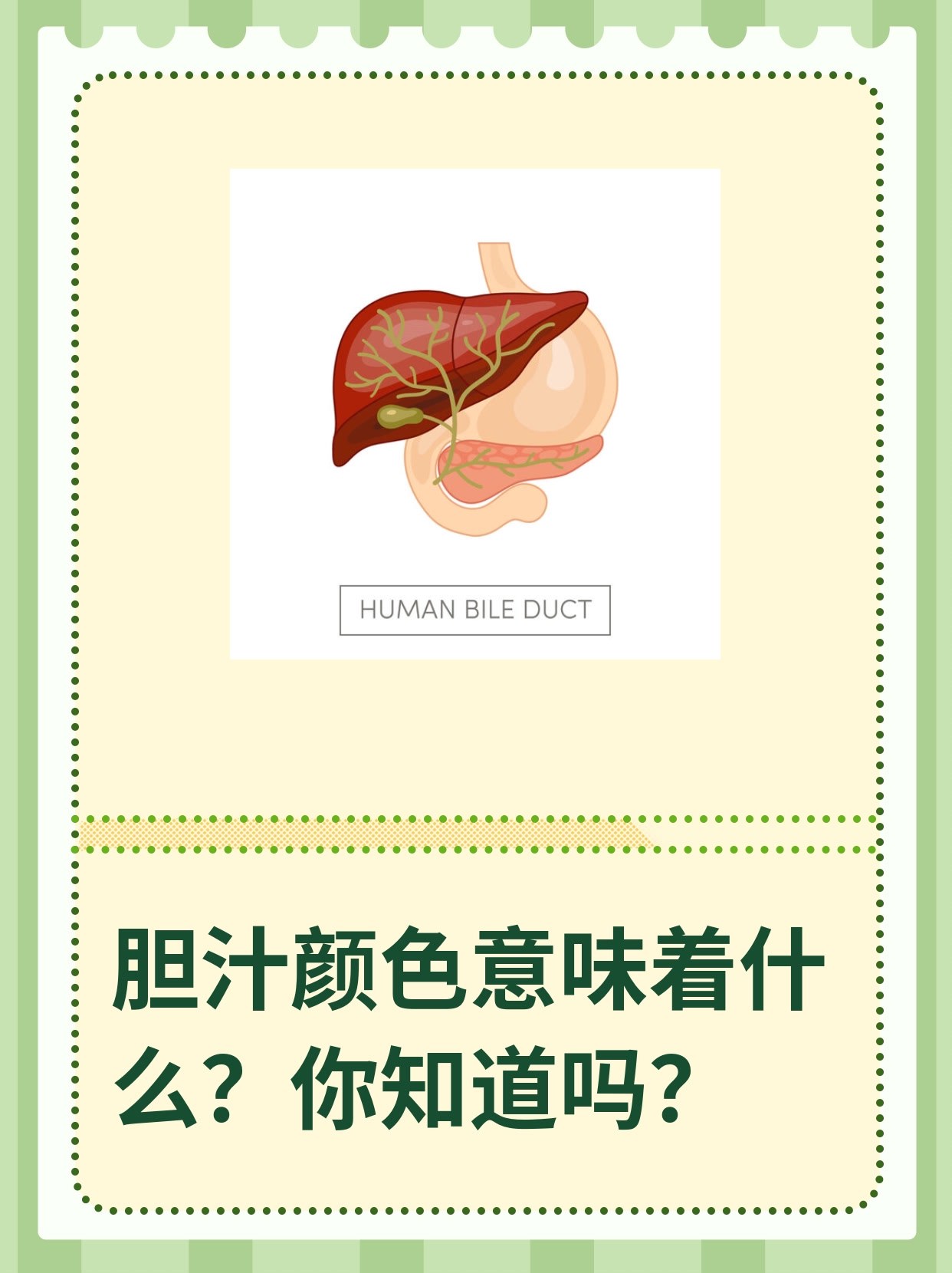 胆汁颜色意味着什么?你知道吗