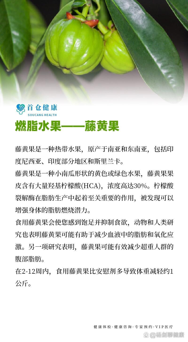 燃脂水果一一藤黄果