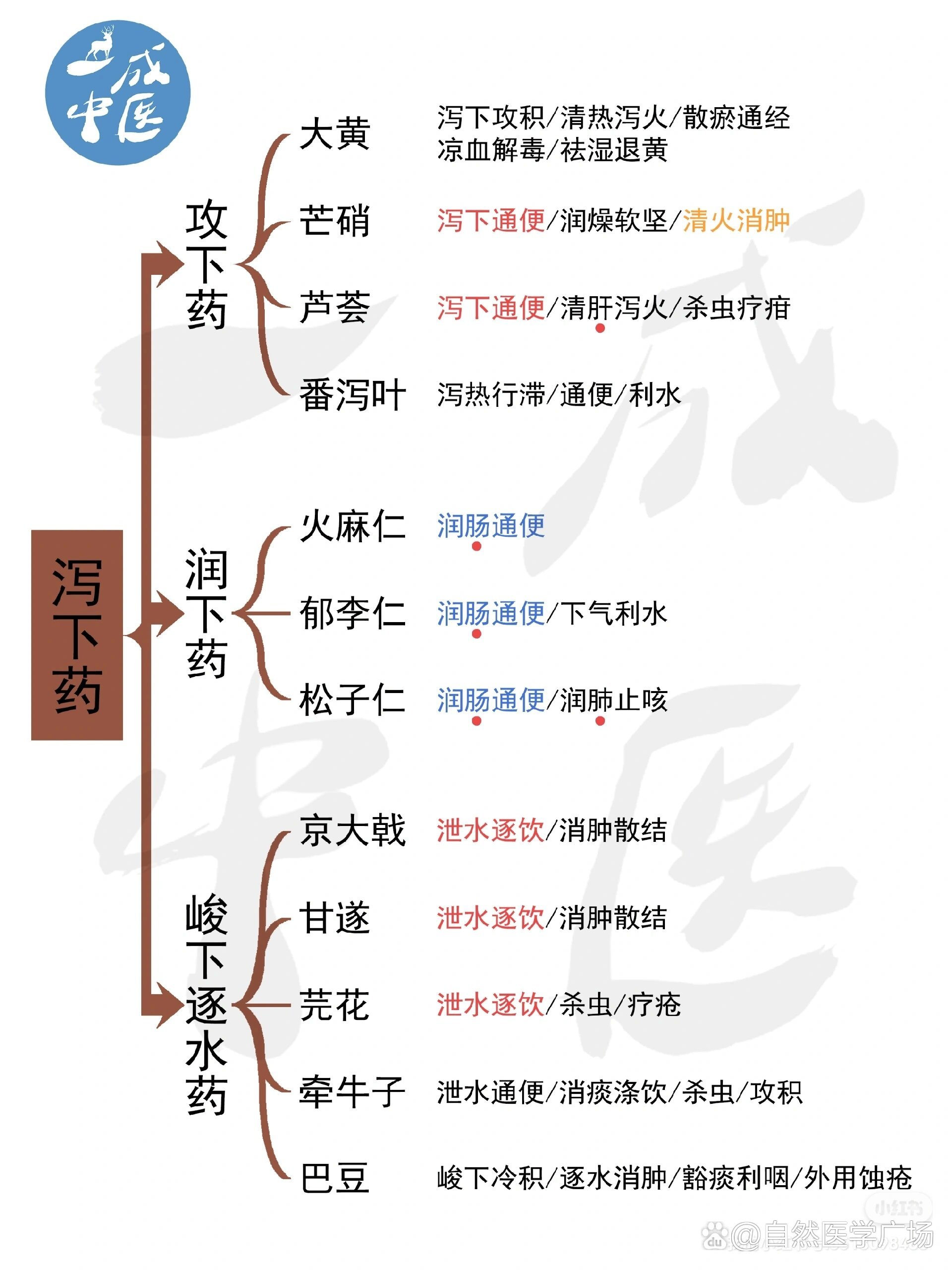 润下剂-《世医得效方》 br>组成:杏仁15g,桃仁15g,柏子仁5g,郁李仁5g