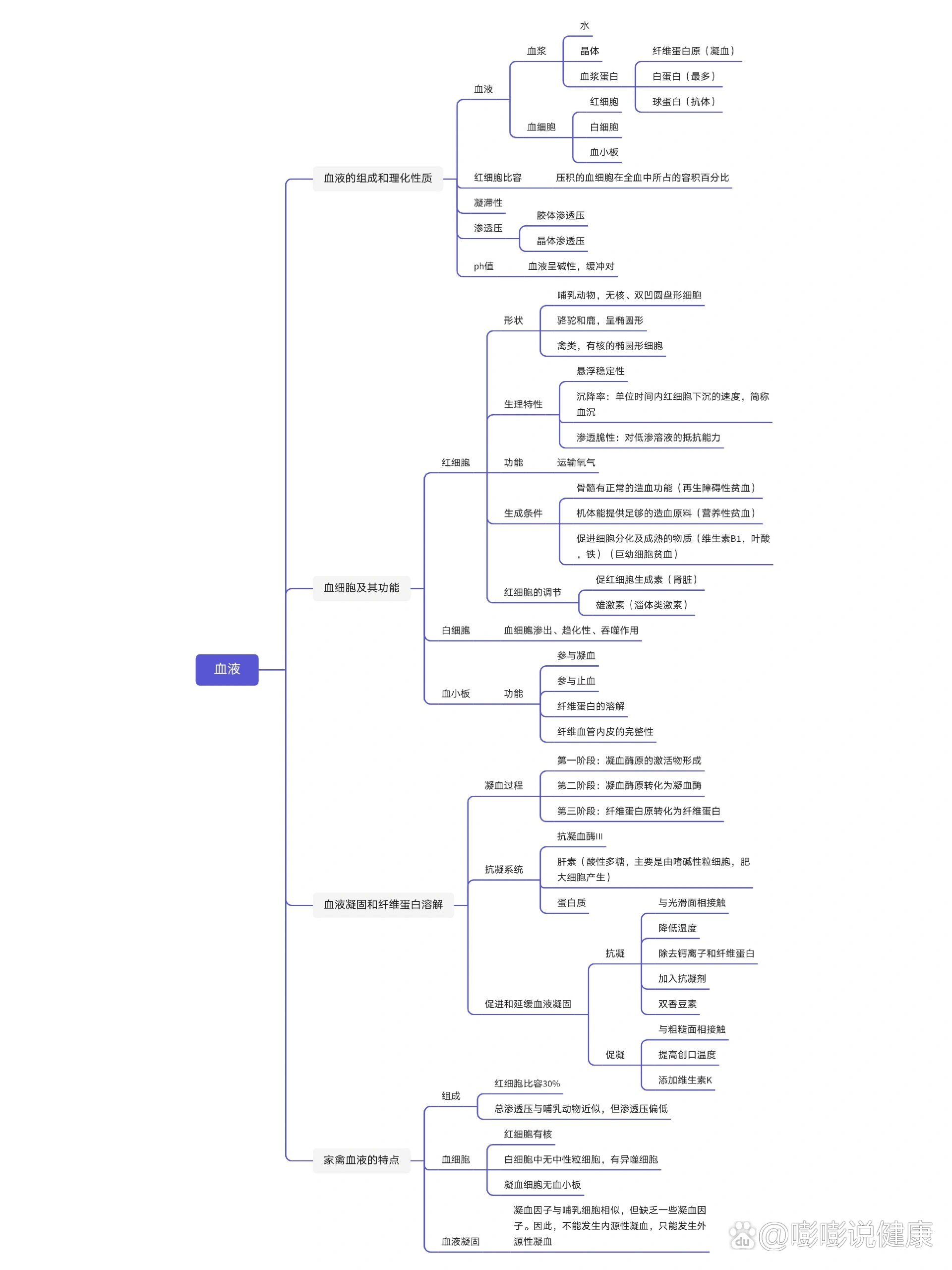 组胚血液的思维导图图片