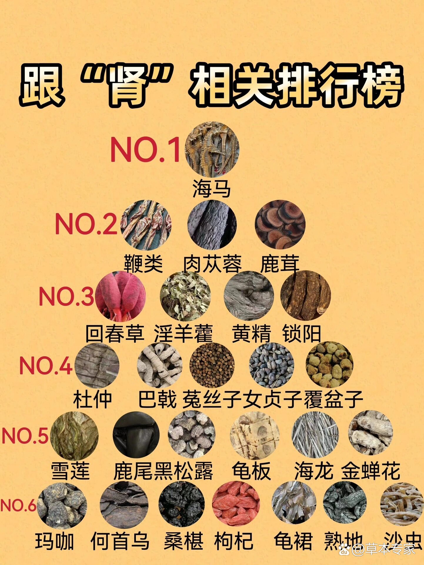 草药名字大全功效图片