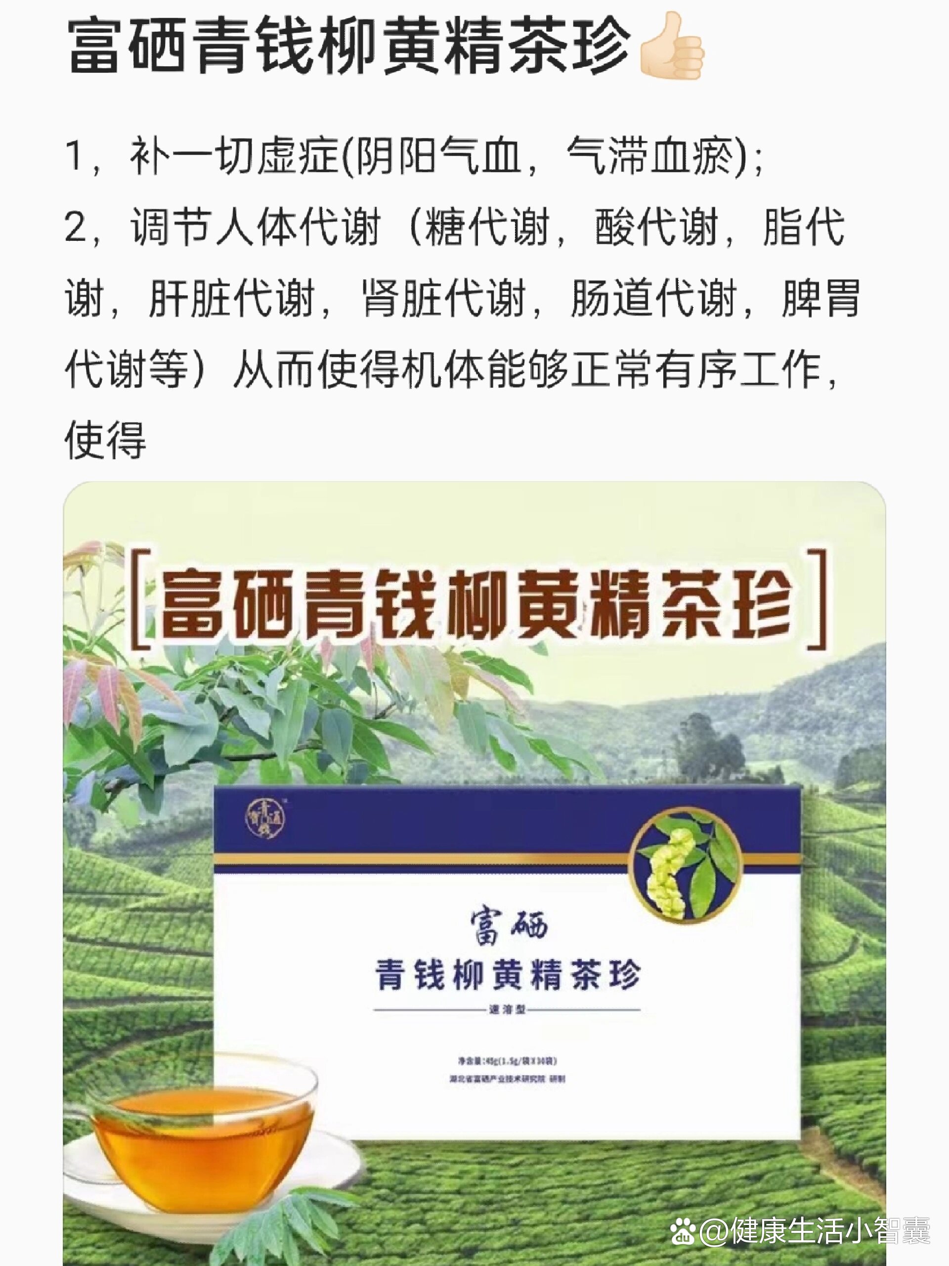 青钱柳茶广告图片