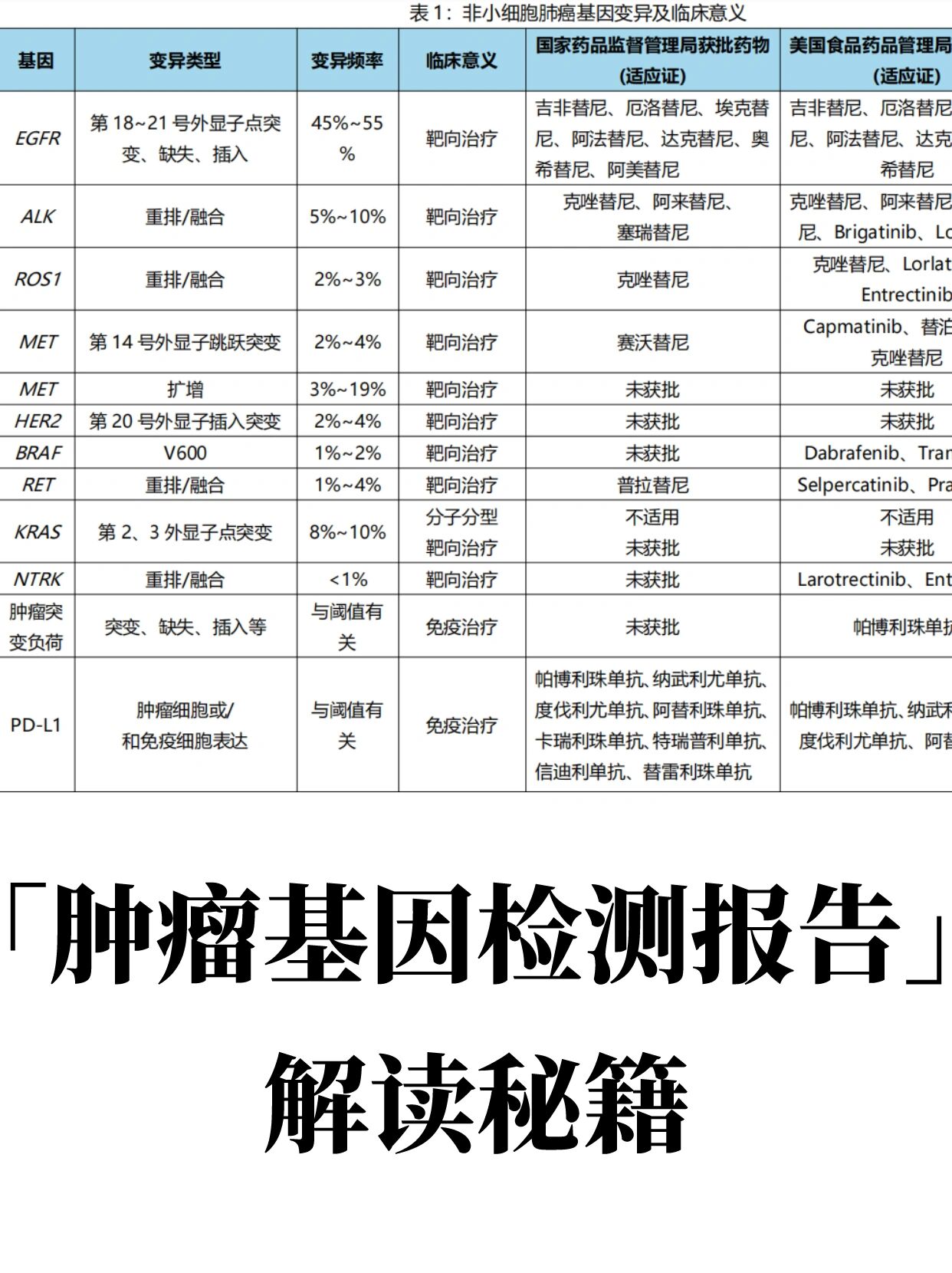 基因检测报告多少钱图片