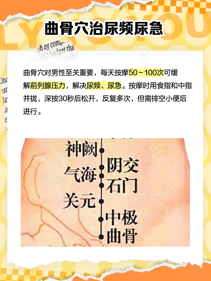 曲骨的准确位置及功效