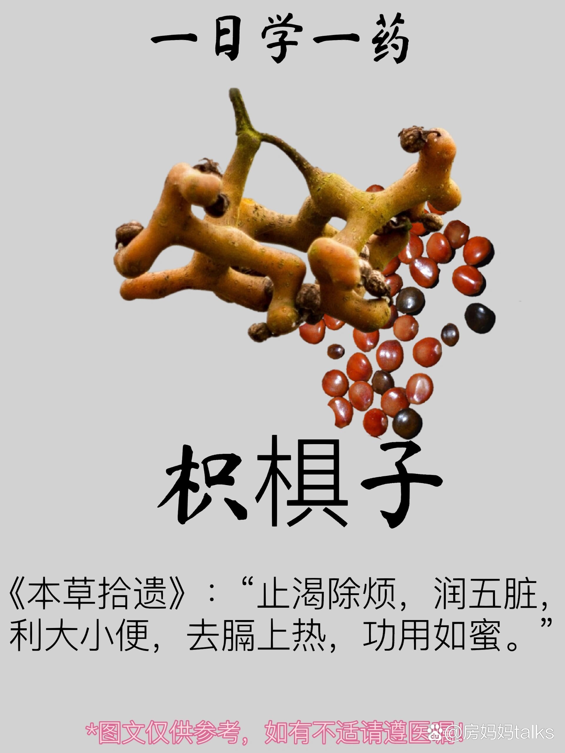 学一药|    枳椇子 br>枳椇子(zhǐ jǔ zǐ)  br>【别名】木蜜,树蜜
