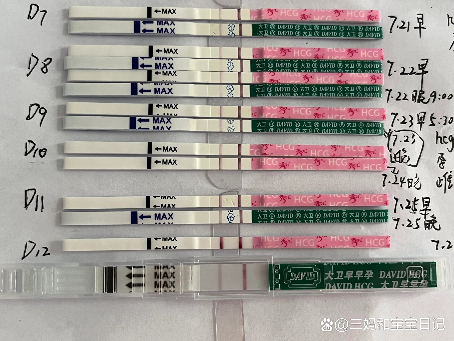 移植12天试纸图片图片