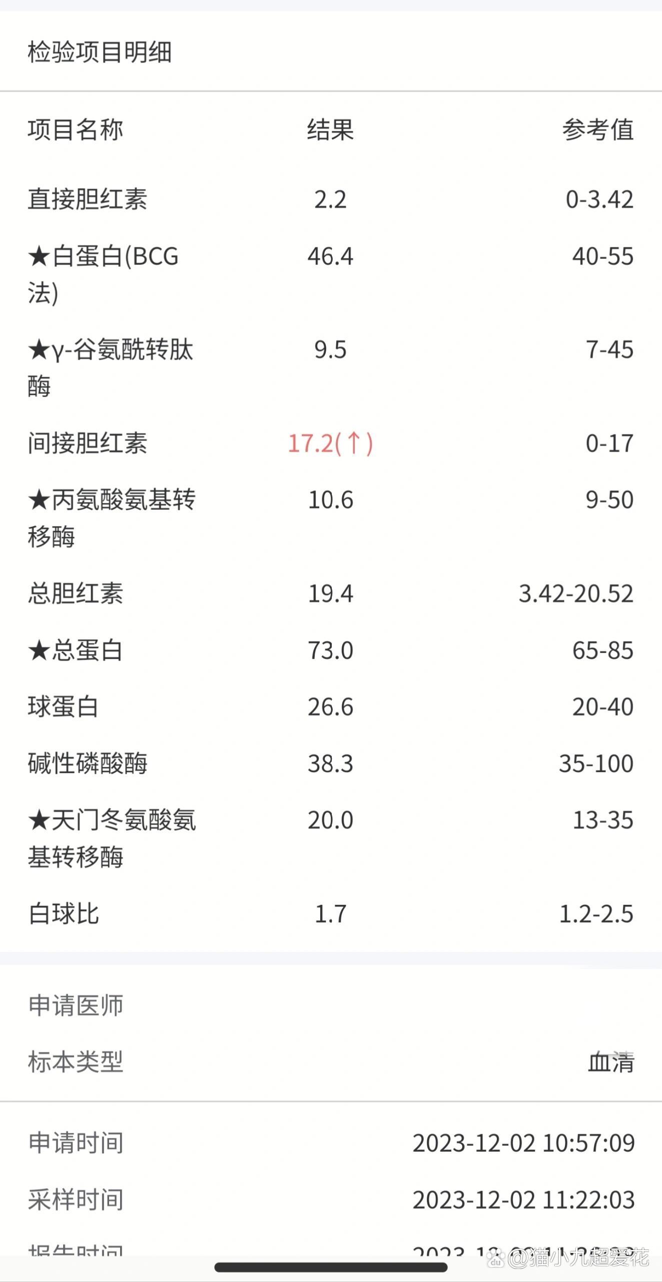 间接胆红素高了一点会有问题么