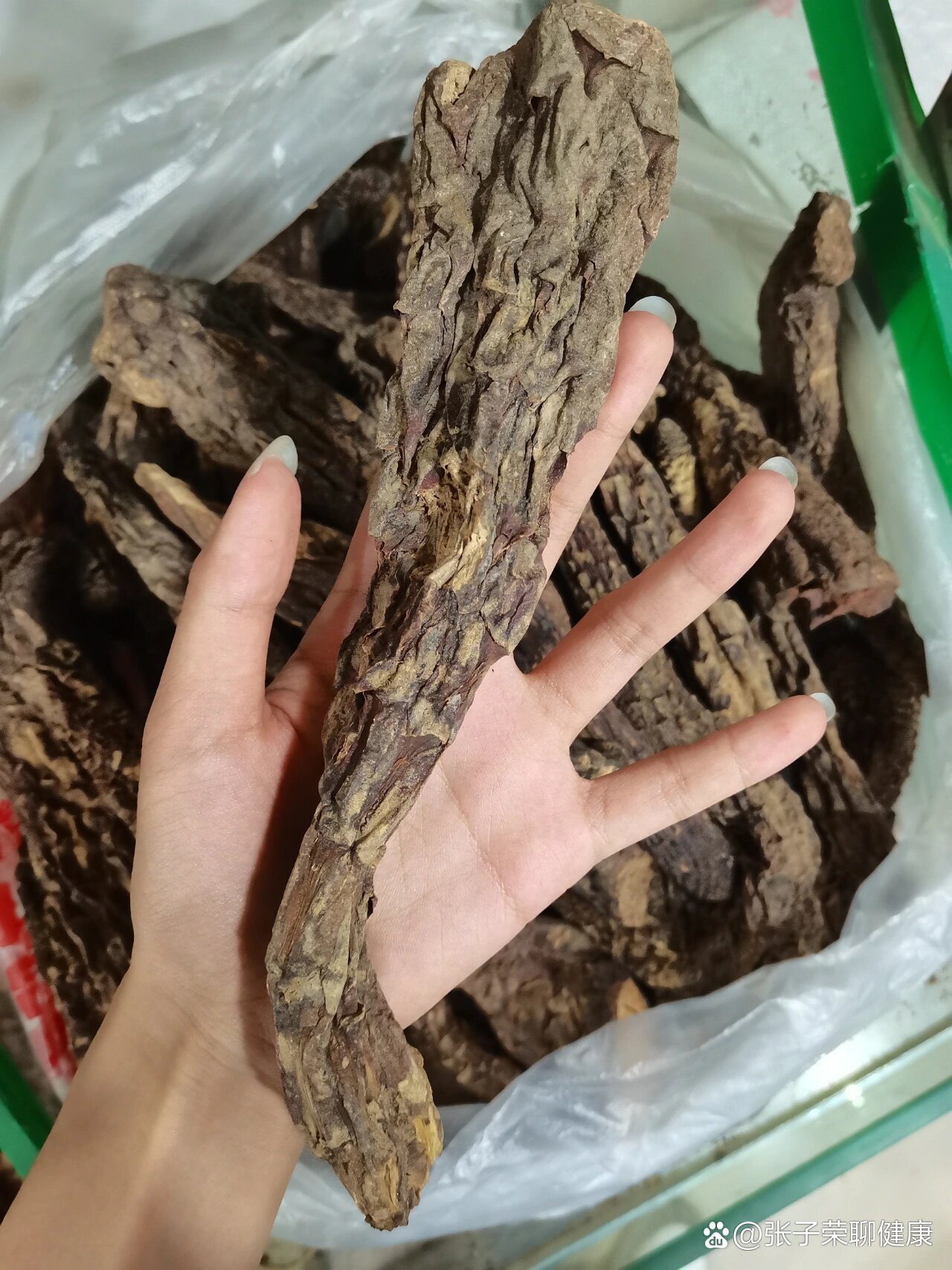新疆沙漠软黄金-大芸(又名肉苁蓉)