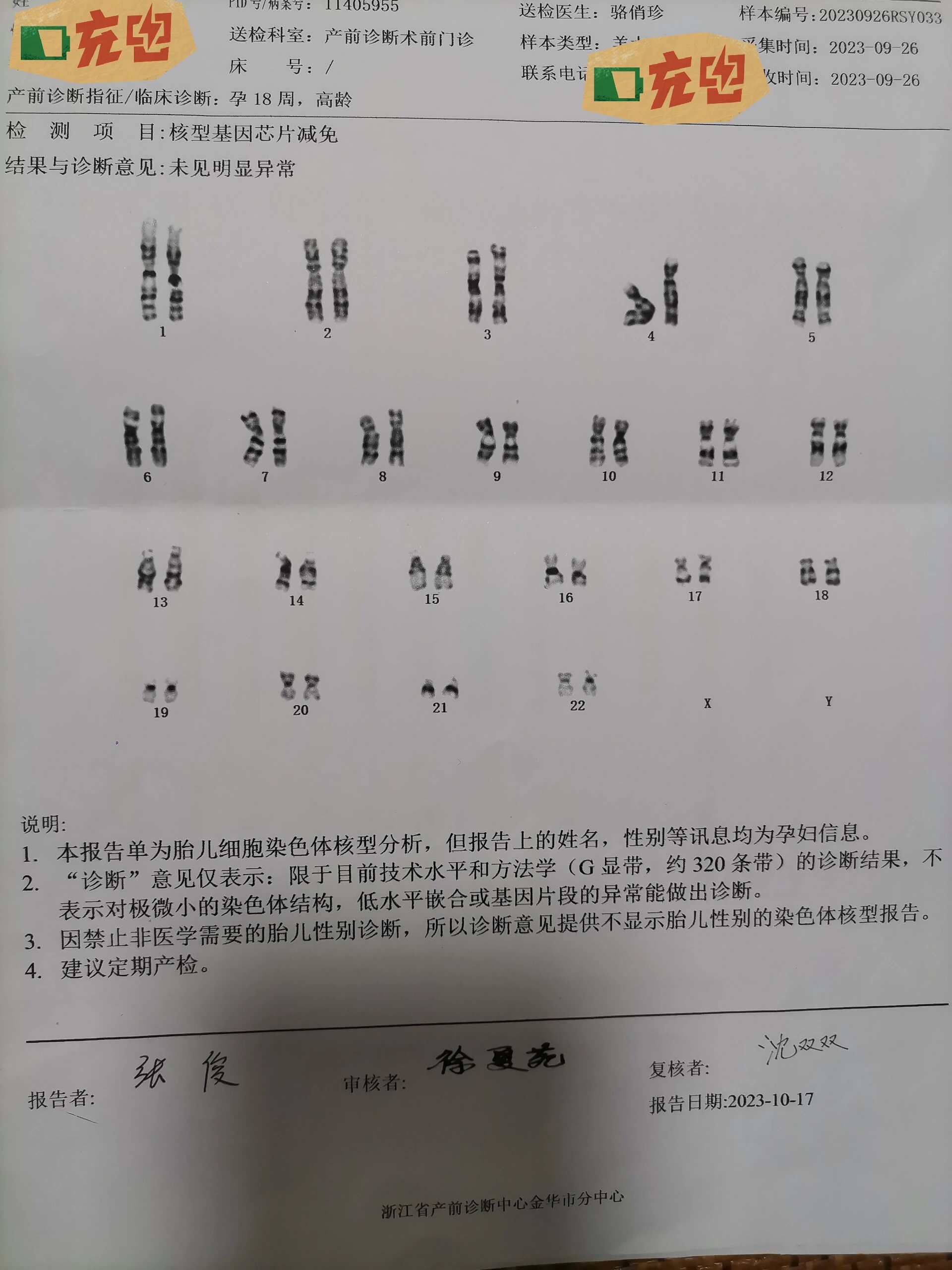 男性染色体检查图片