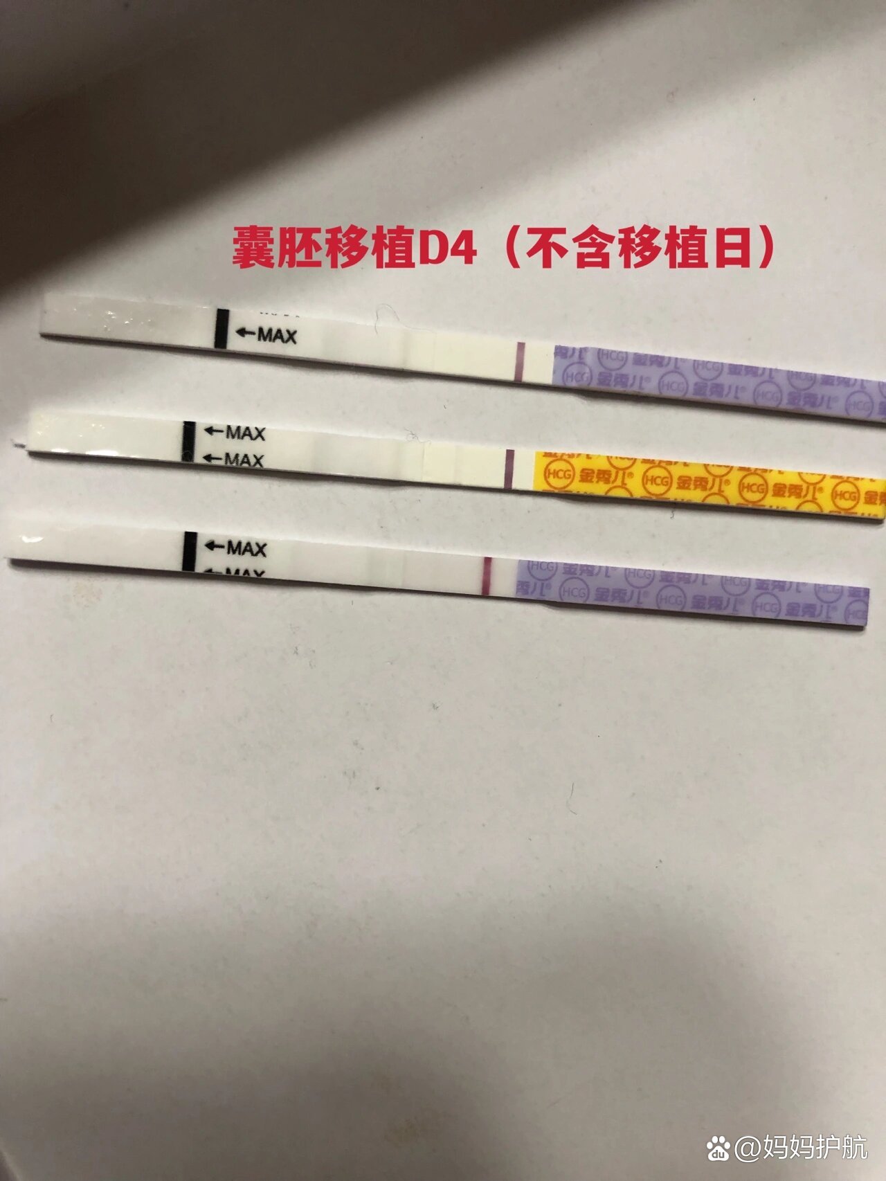 移植囊胚是什么意思(移植囊胚是什么意思图片)