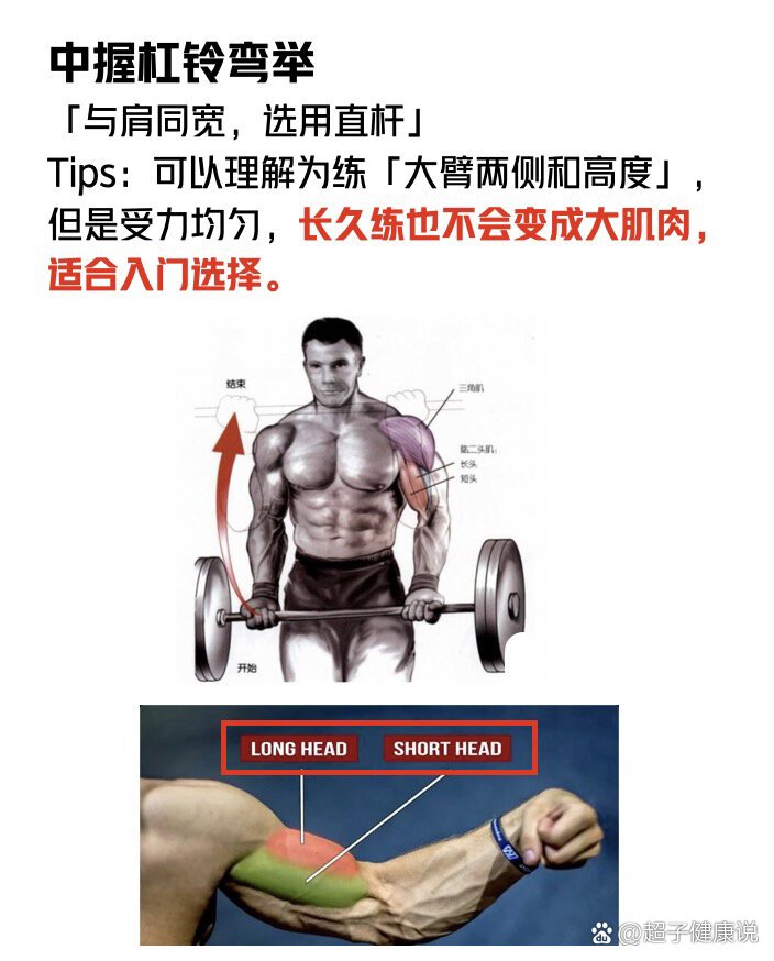 健身第四年|杠铃弯举用法大全(图示)