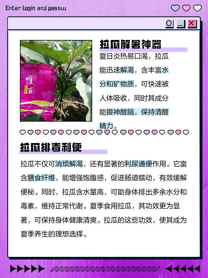 拉瓜的功效和作用