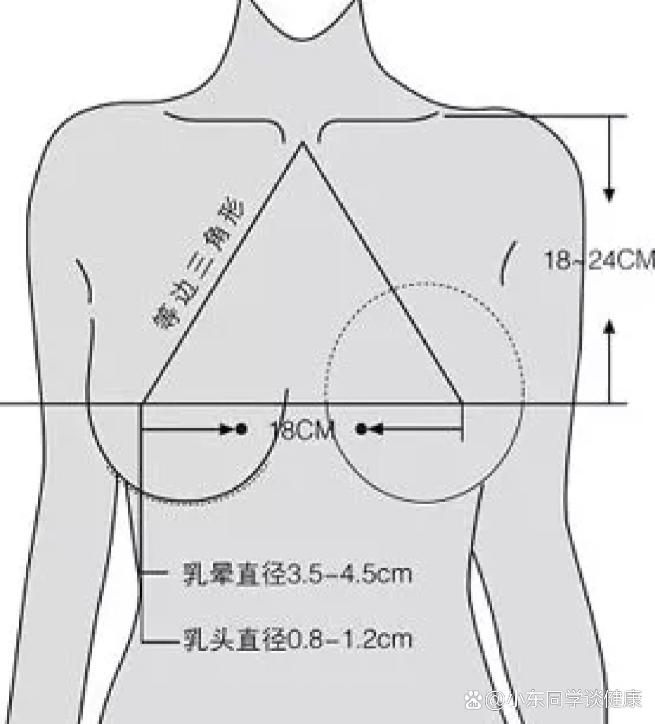 两胸之间下面图片