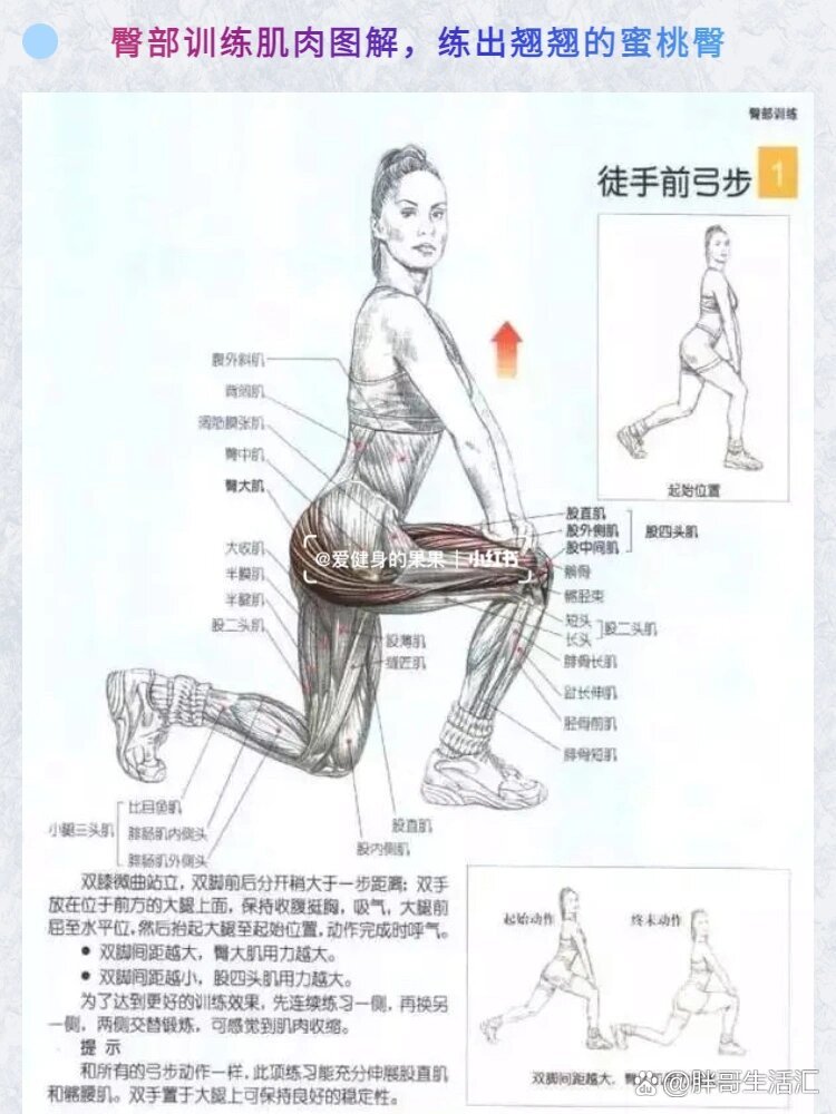 臀部训练肌肉图解,练出翘翘的蜜桃臀续集