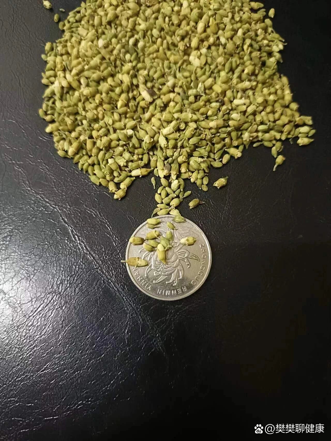 优质中药材——槐米(国槐)