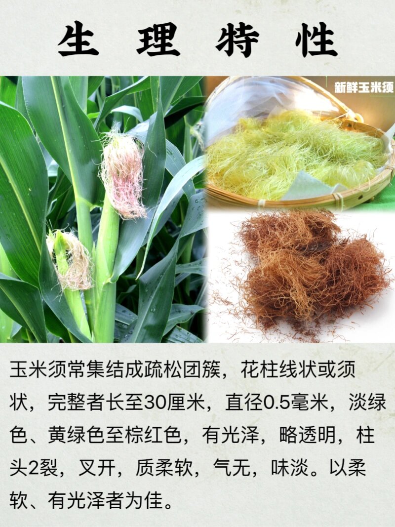 包谷七草药图药用图片