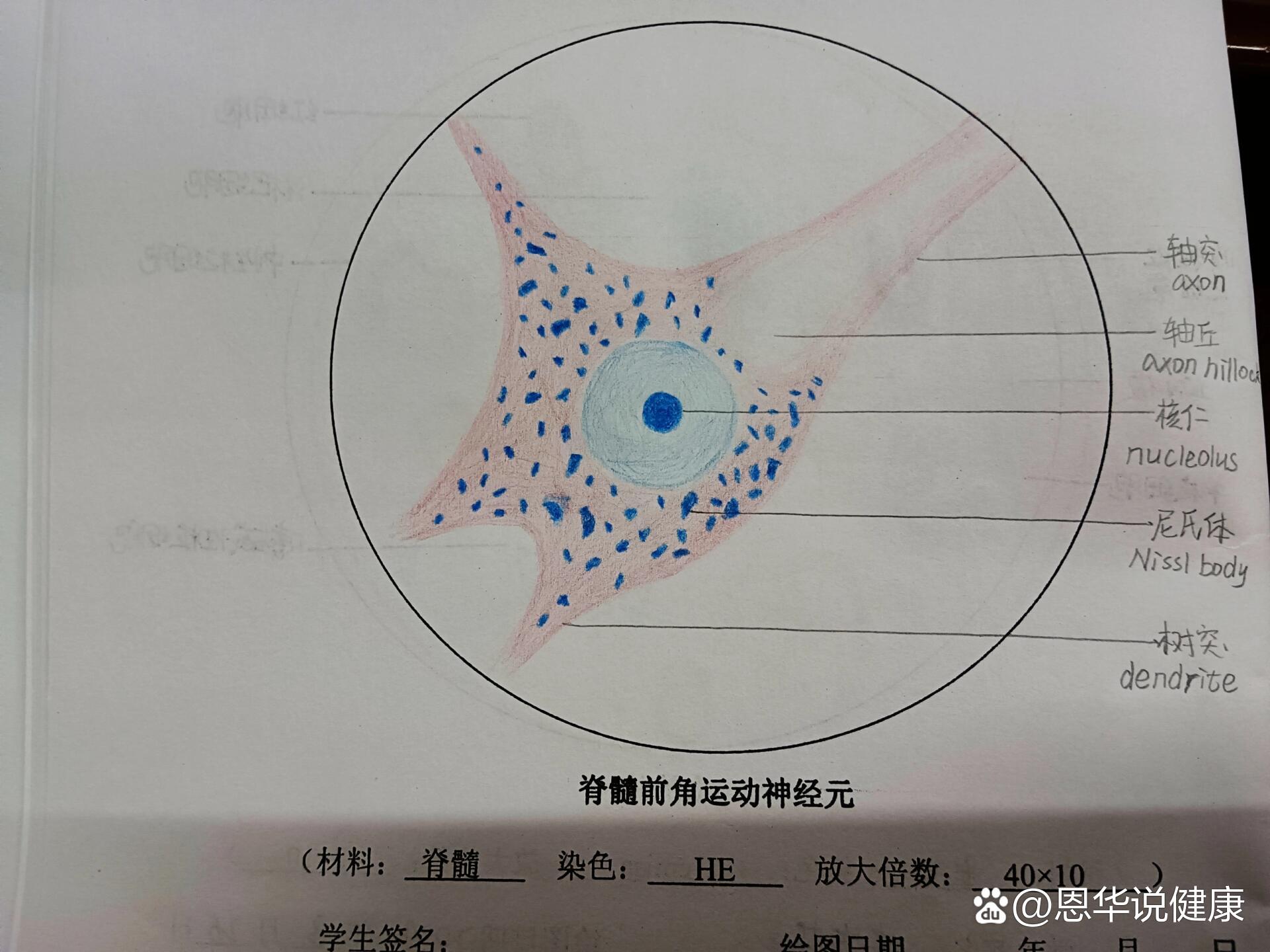 推程运动角怎么确定图片