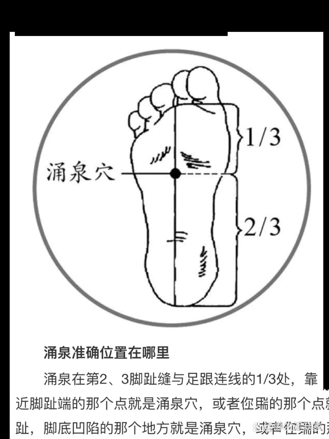 中医养生之涌泉穴