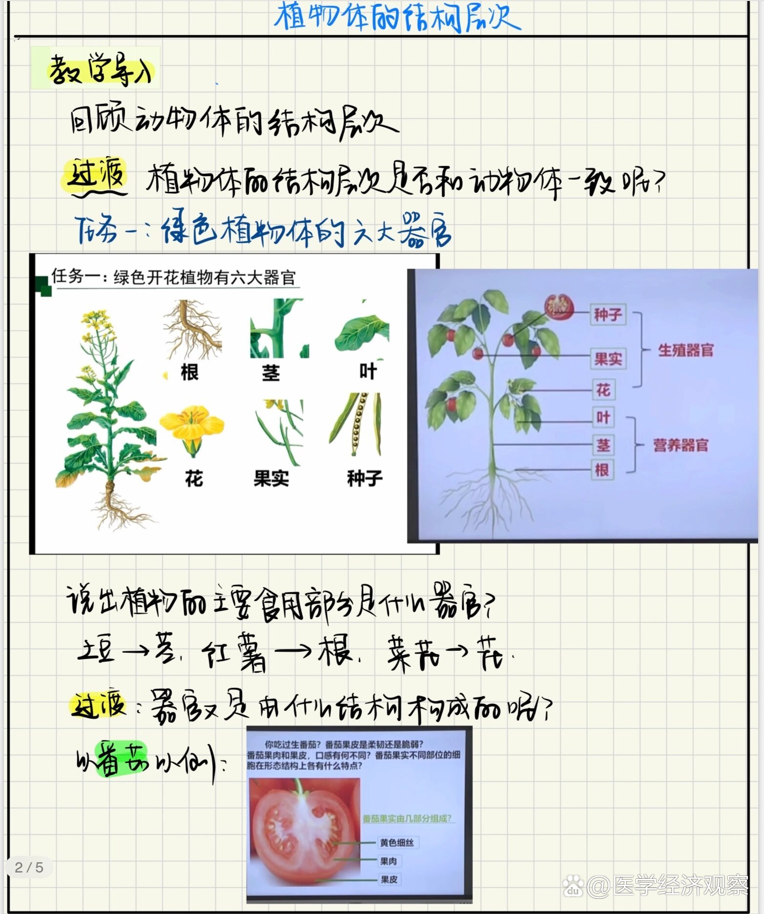 植物结构层次示意图图片