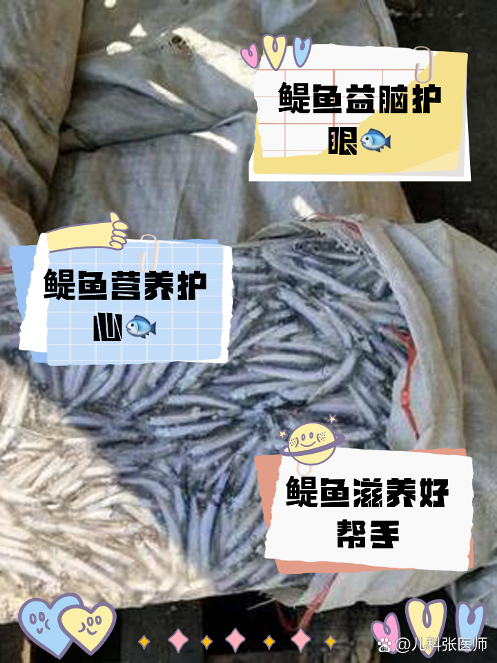 鳀鱼的功效与作用