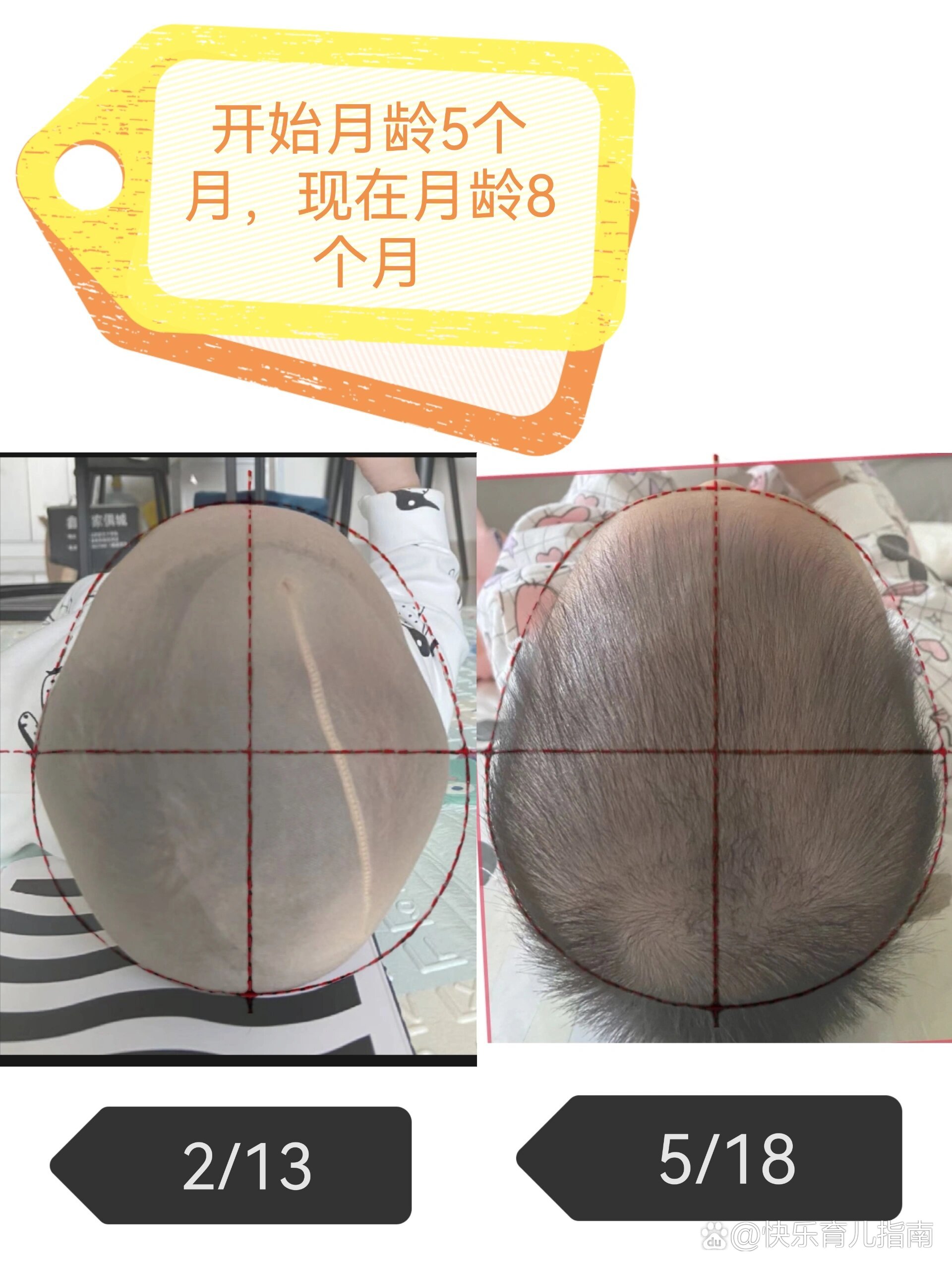 5月龄,最难调整的菱形头!